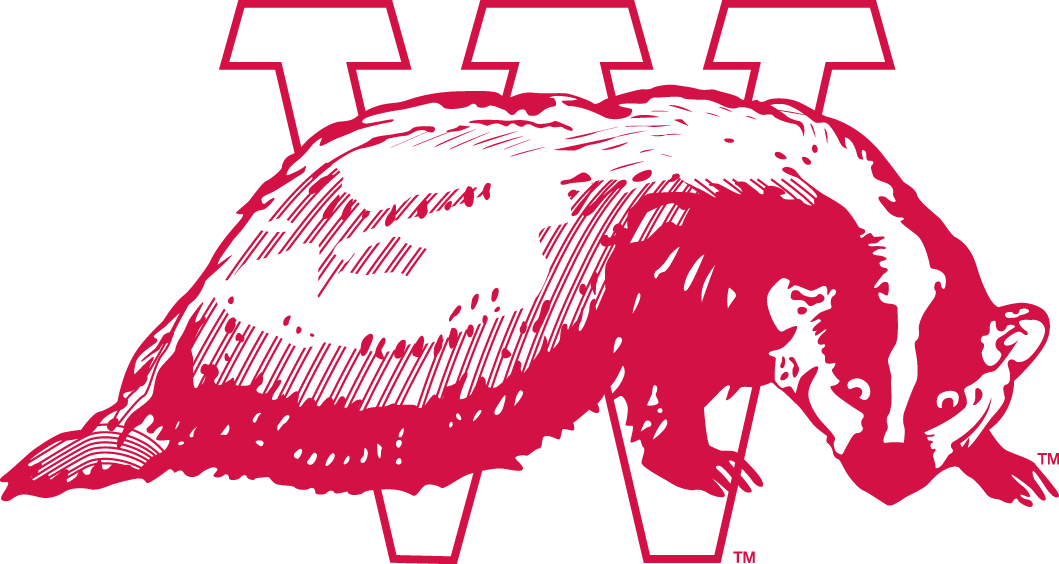 Wisconsin Badgers 1936-1947 Alternate Logo diy iron on heat transfer